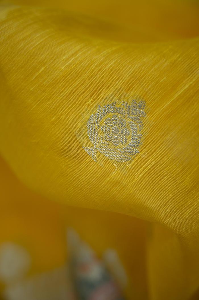 Banarasi Katan Cutwork Contrast Silk Saree