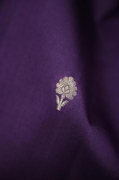 Raw Mango Silk Zari Saree in Russian Violet & 7 Colors