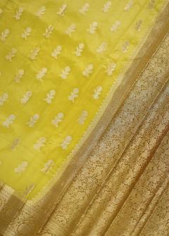 Pure Banarasi Haldi Yellow Mustard Saree